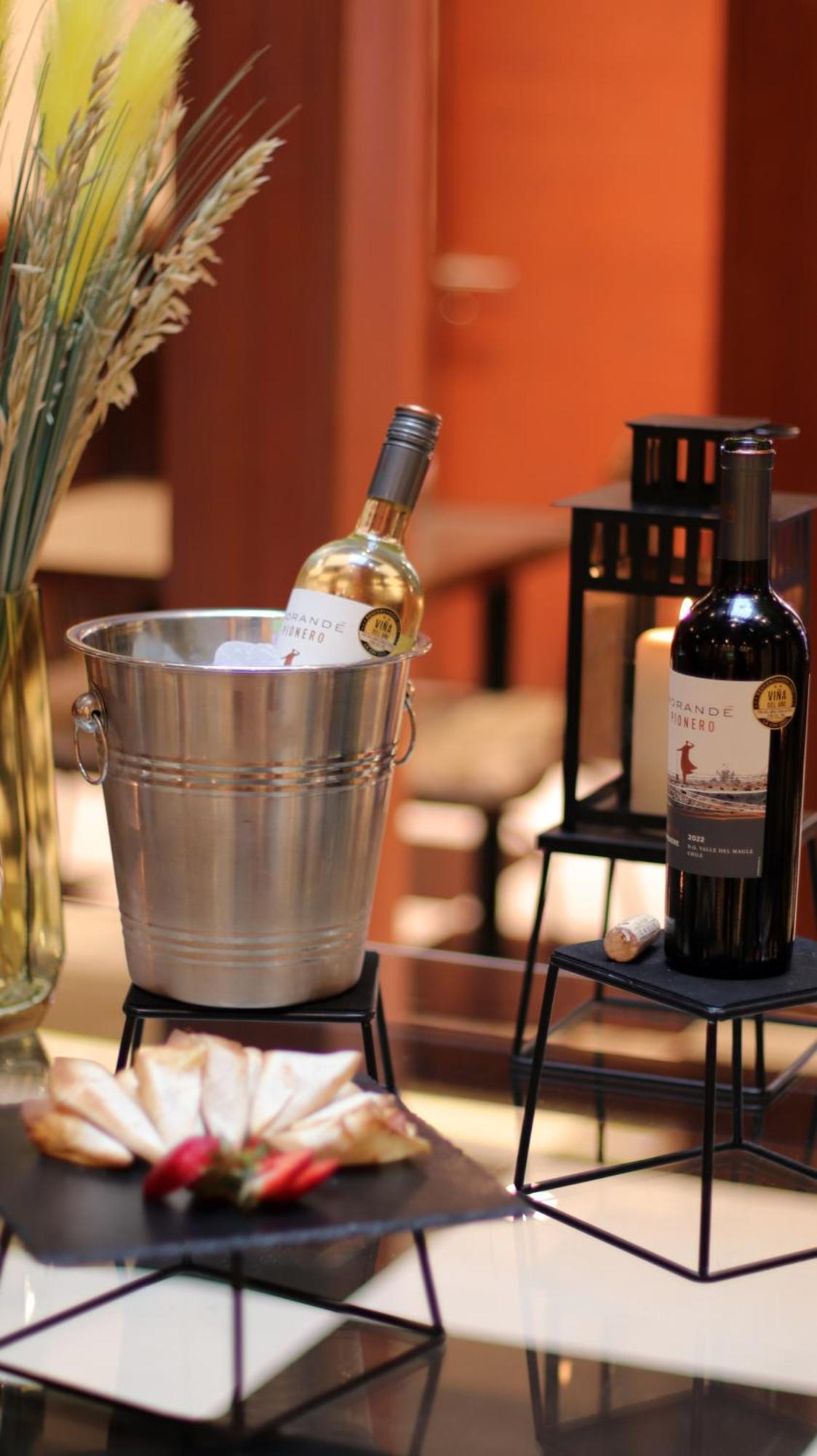 Concha Y Toro 33 Hotel Boutique By Nobile Santiago Luaran gambar